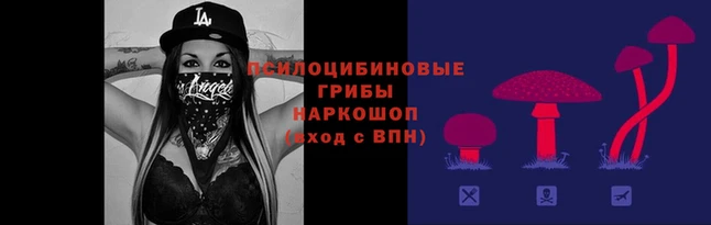 тгк Аркадак