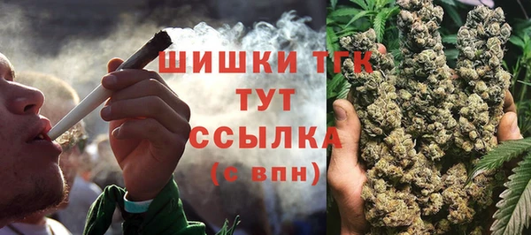 тгк Аркадак